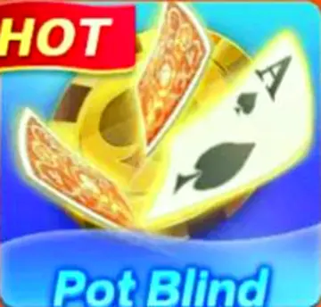 Pot Blind game in Teen Patti Pro