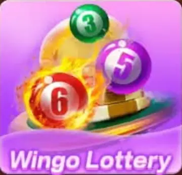 Wingo Lottery game in Teen Patti Pro